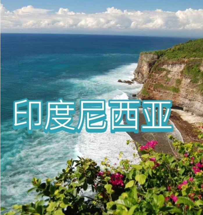 国国际电商(印尼)产业博览会pg模拟器电脑版2025中(图2)