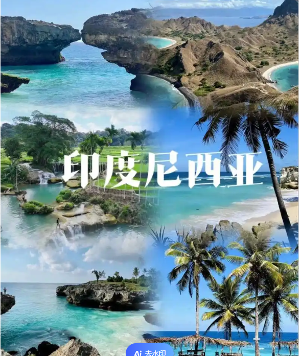 国国际电商(印尼)产业博览会pg模拟器电脑版2025中(图3)