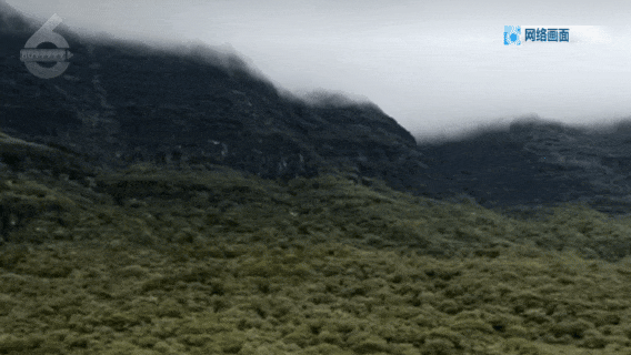 夜里都难找路！”7人登山迷路被困！pg模拟器电脑版“没有村民向导我们(图4)